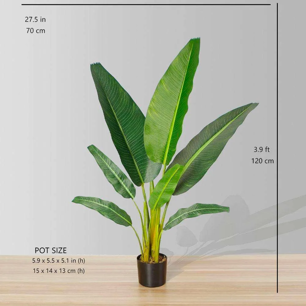 人工旅行者ヤシの木の鉢植え植物