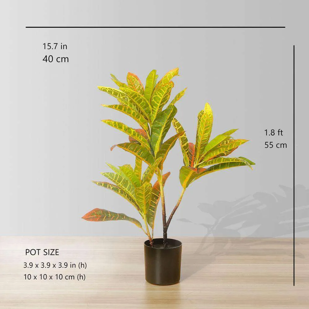 人工股間鉢植え
