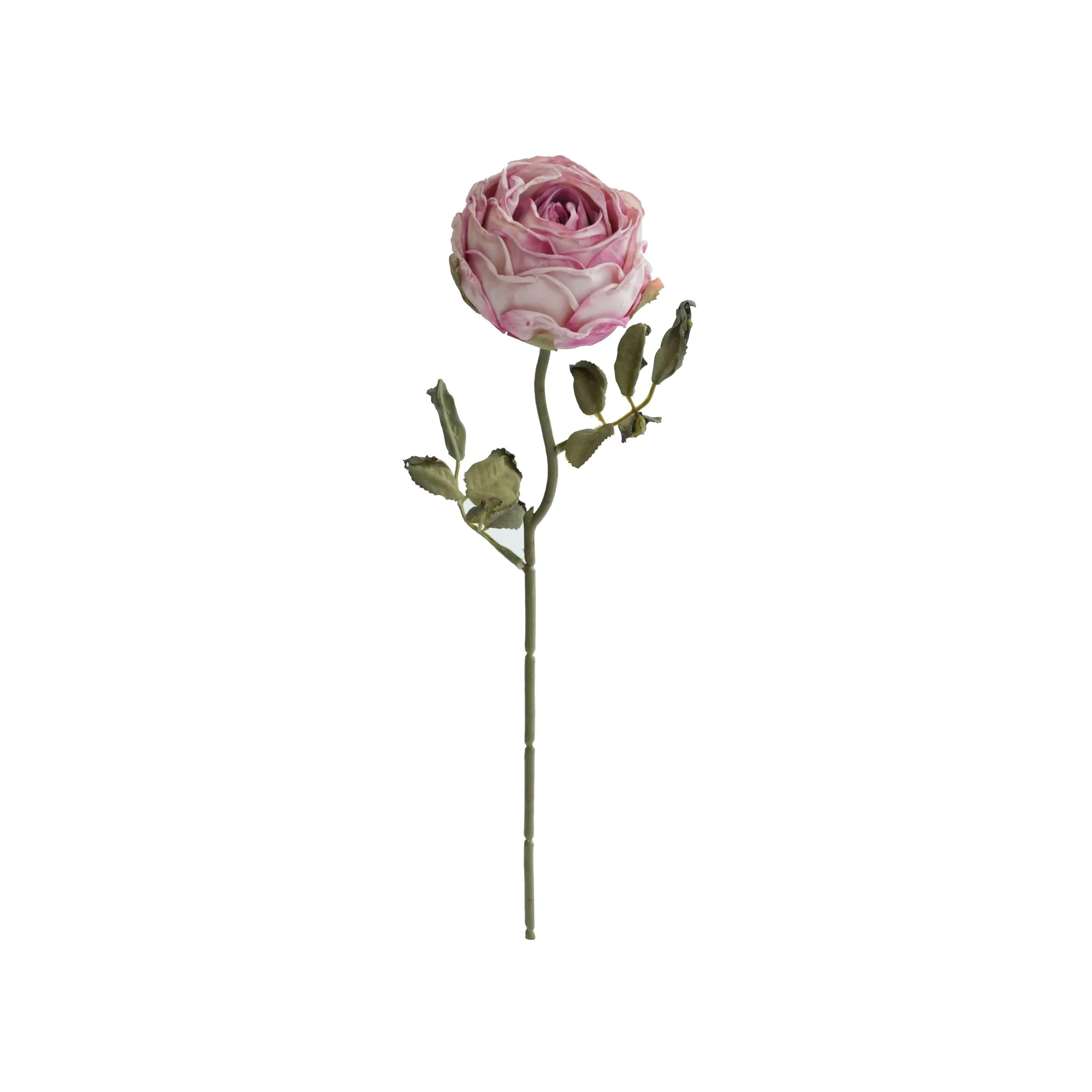 刻んだ丸いバラ