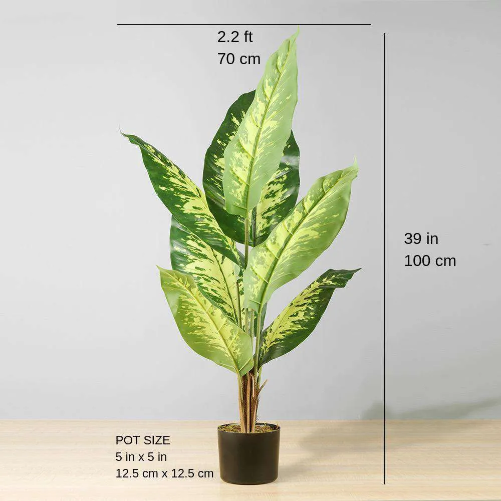 人工常緑の鉢植え植物