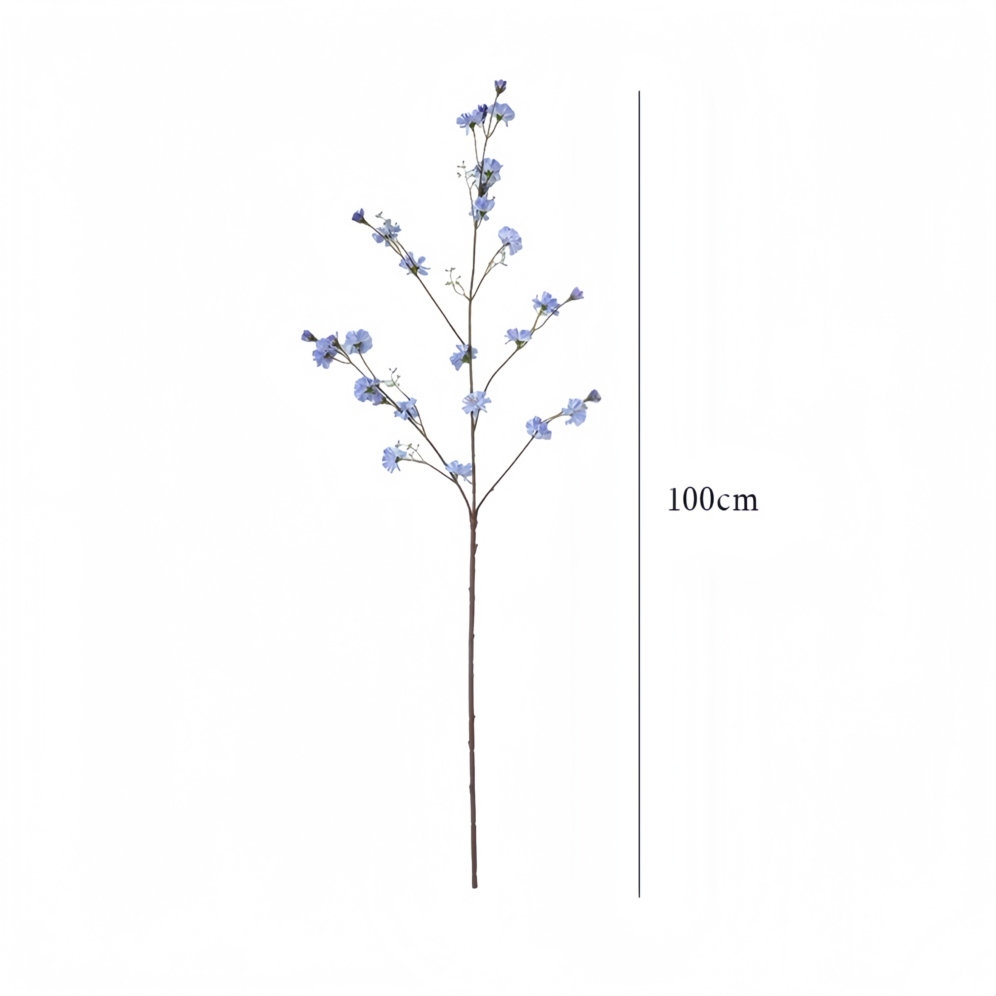 人工柳chrysanthemum支部