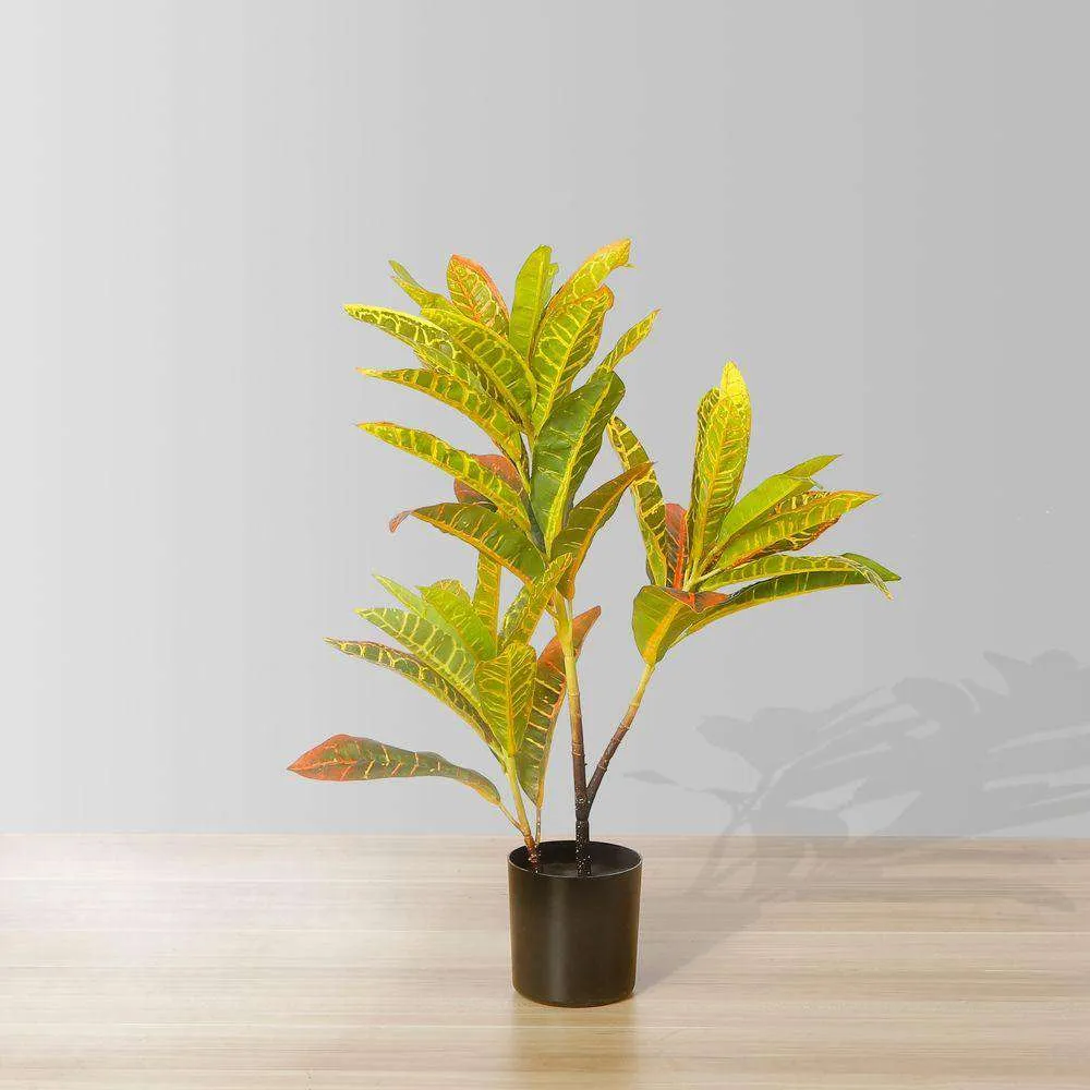 人工股間鉢植え