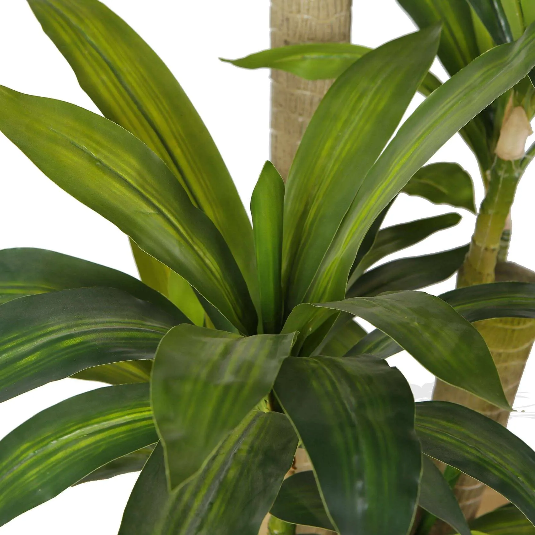 人工ドレシナの木の鉢植え植物（複数のサイズ）