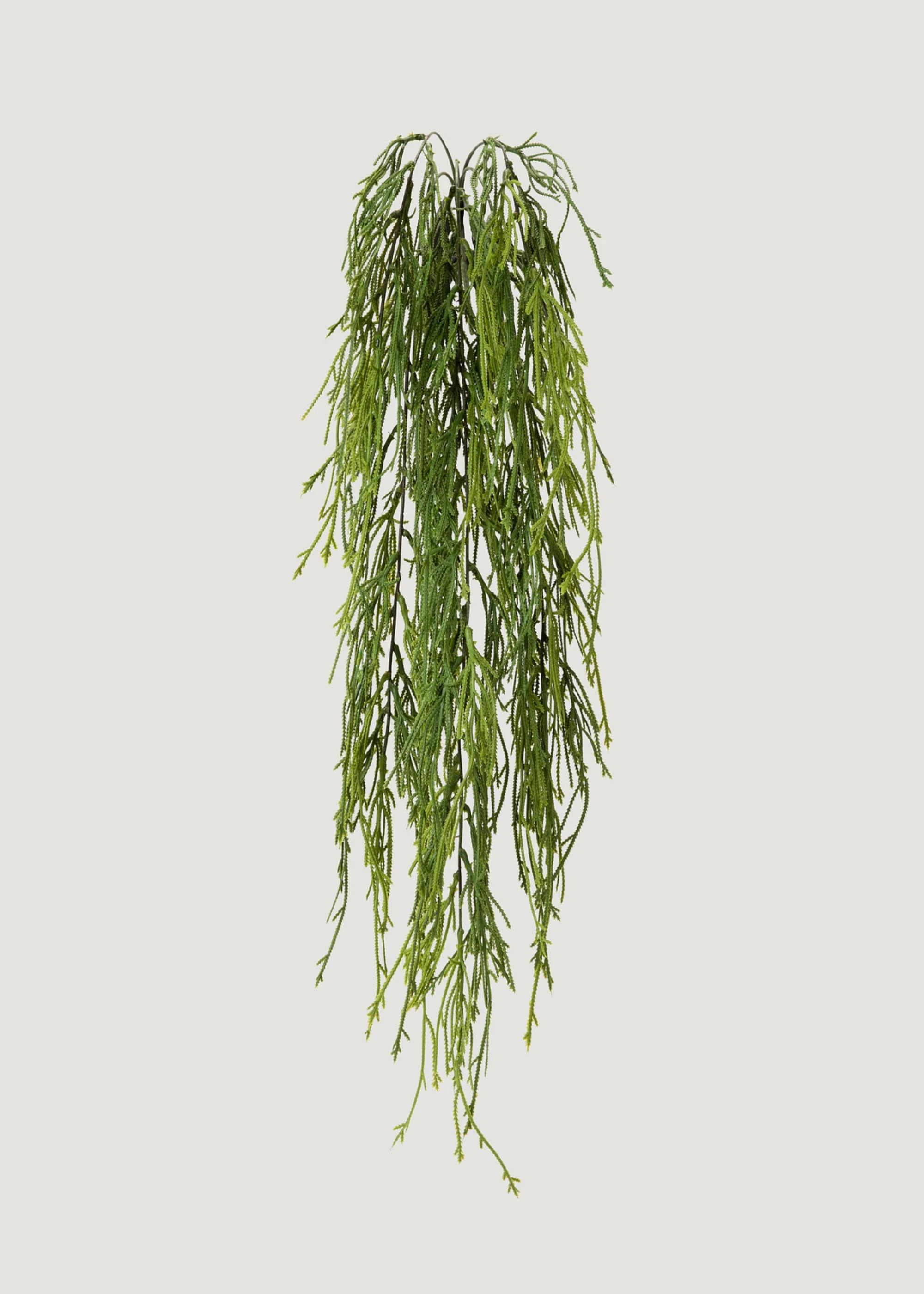 indoor_outdoorフェイクハンギングモスシダ植物は100から始まります