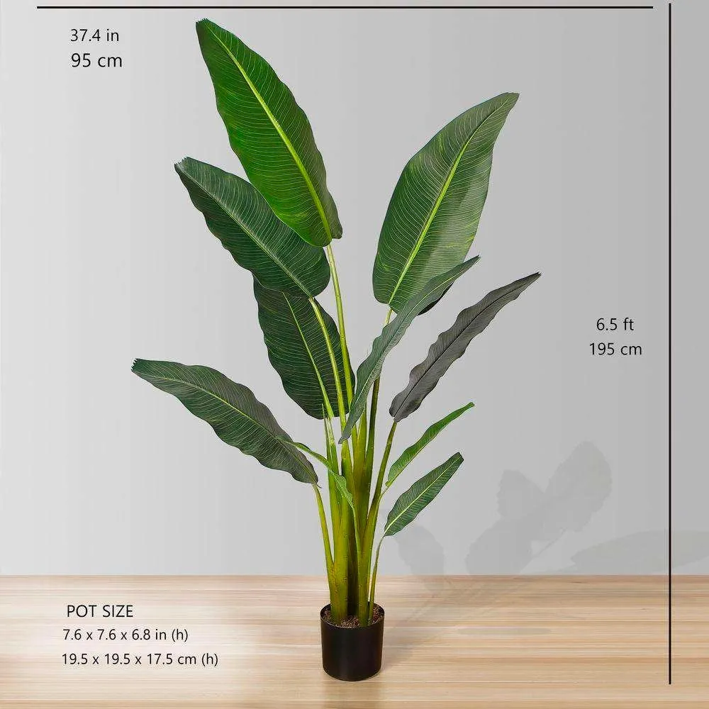 人工旅行者ヤシの木の鉢植え植物