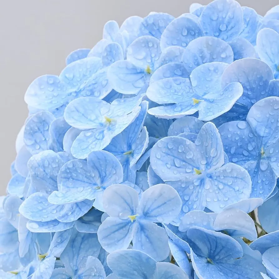 偽の花は実際のタッチアジサイです