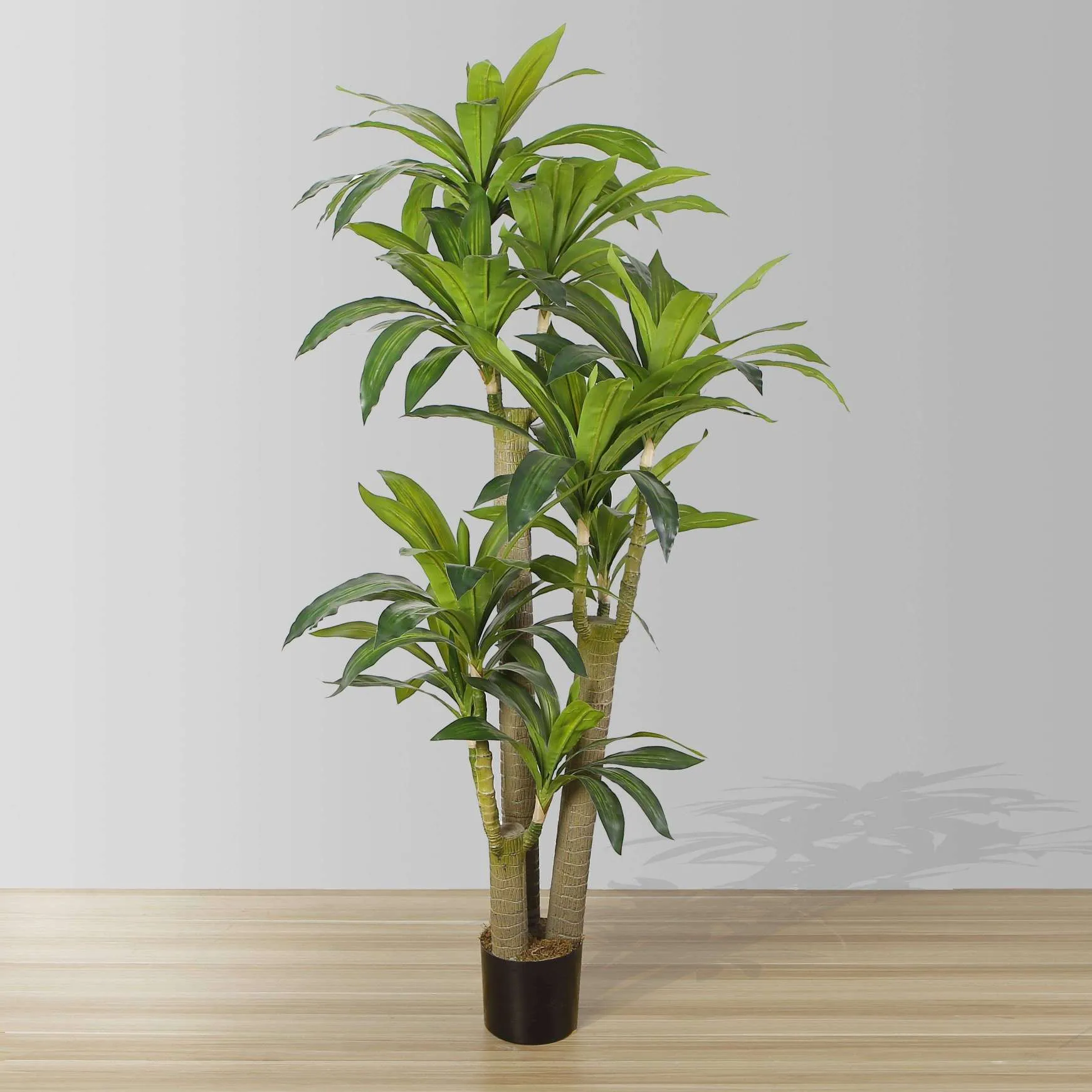 人工ドレシナの木の鉢植え植物（複数のサイズ）