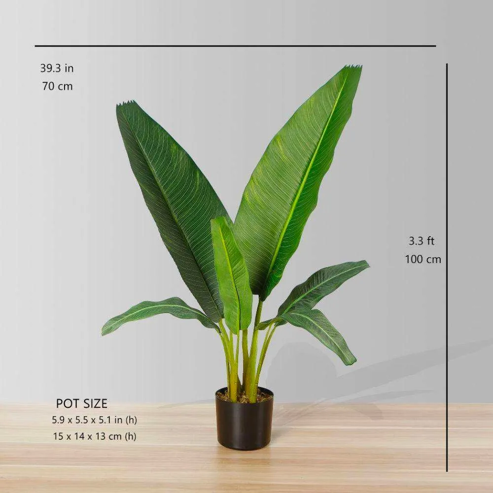 人工旅行者ヤシの木の鉢植え植物