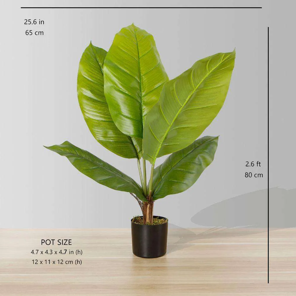 人工スペシリュルム葉の鉢植え植物（複数のサイズ）