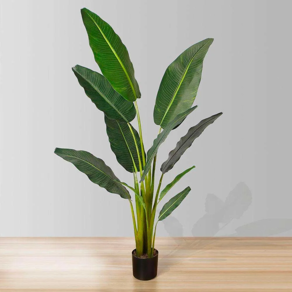 人工旅行者ヤシの木の鉢植え植物