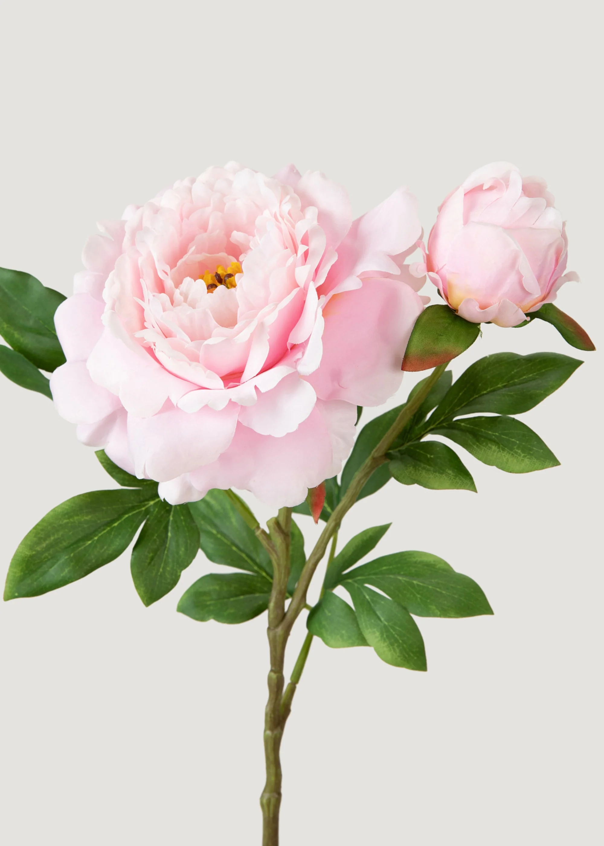 デラックスの牡丹偽の花