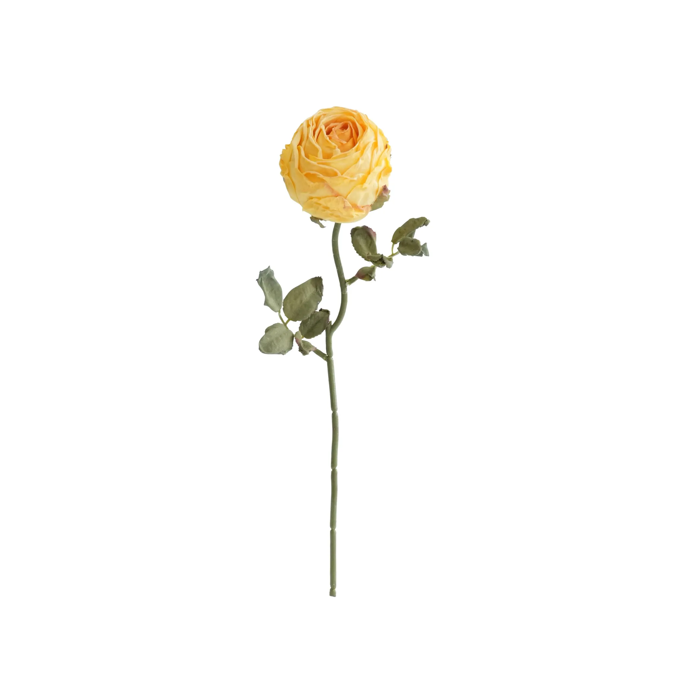 刻んだ丸いバラ
