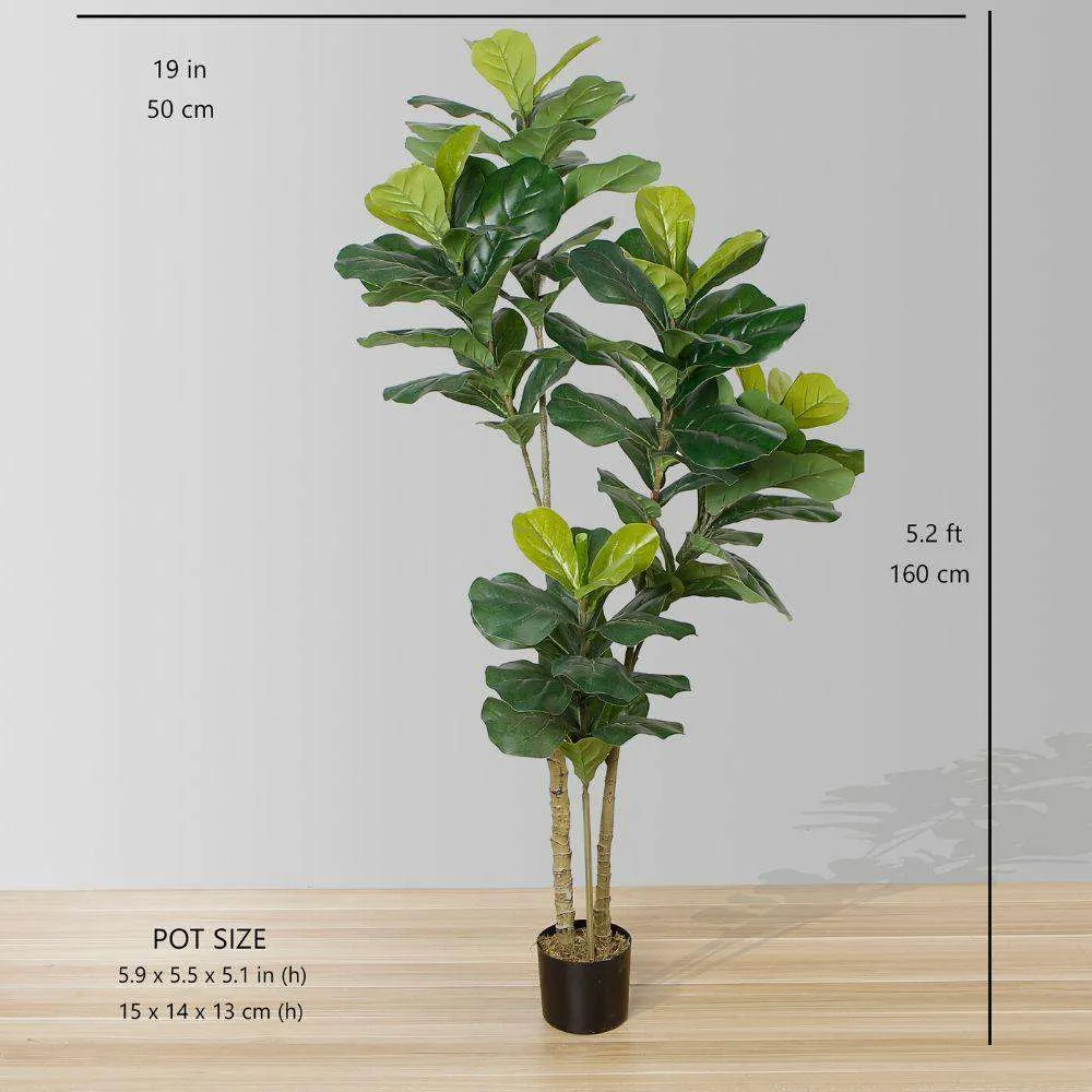 豊富な人工フィドル葉の鉢植え植物（複数のサイズ）