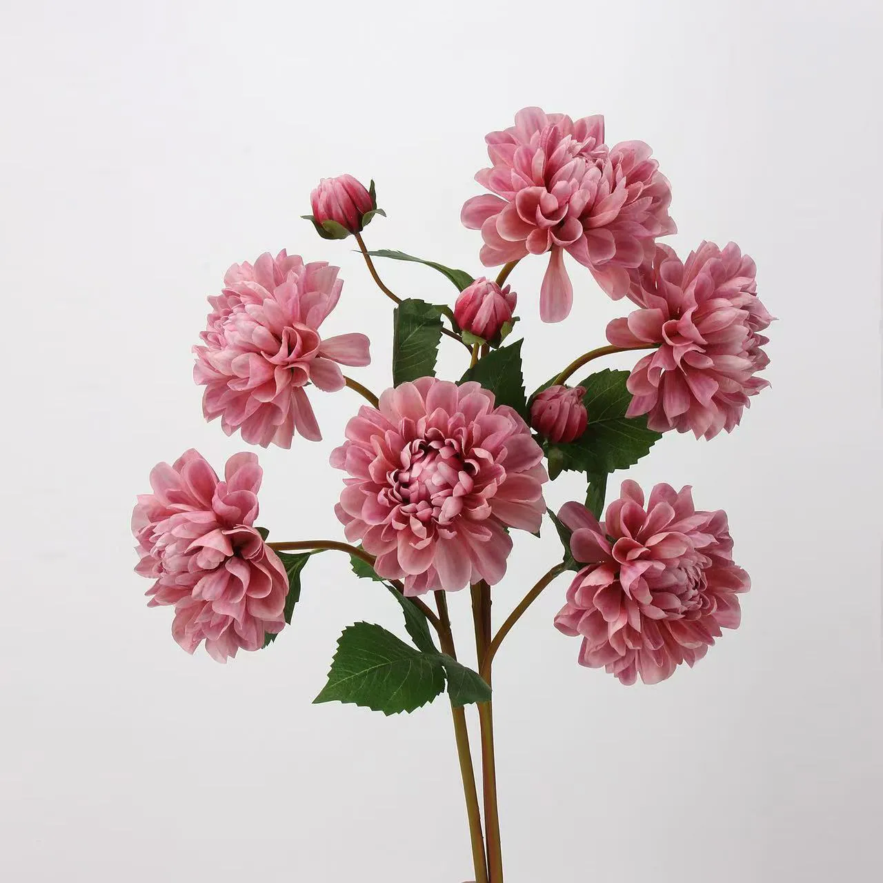 Solutions of silk flower molds
