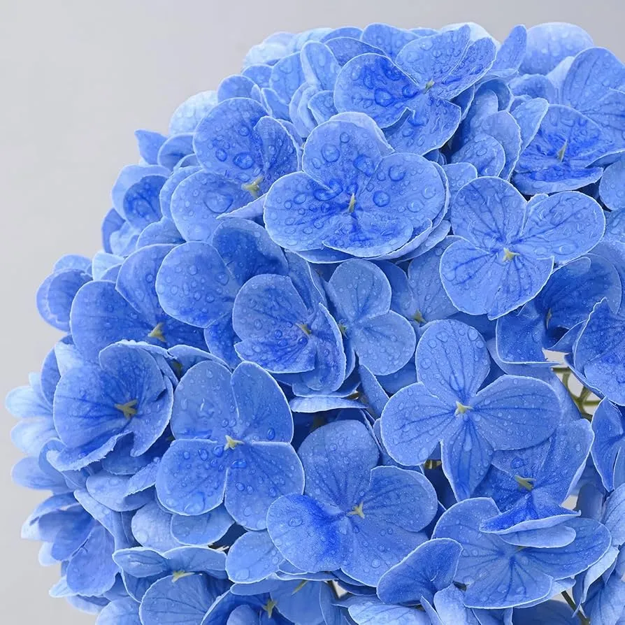 偽の花は実際のタッチアジサイです