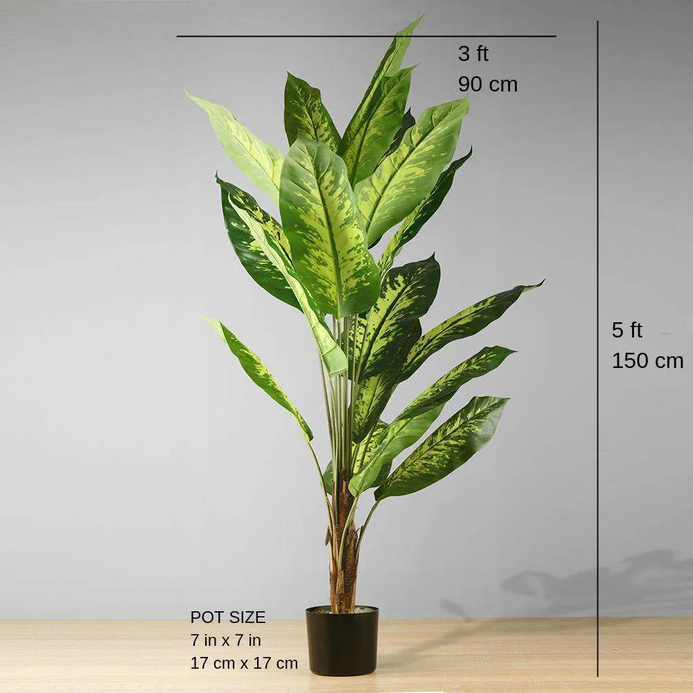 人工常緑の鉢植え植物