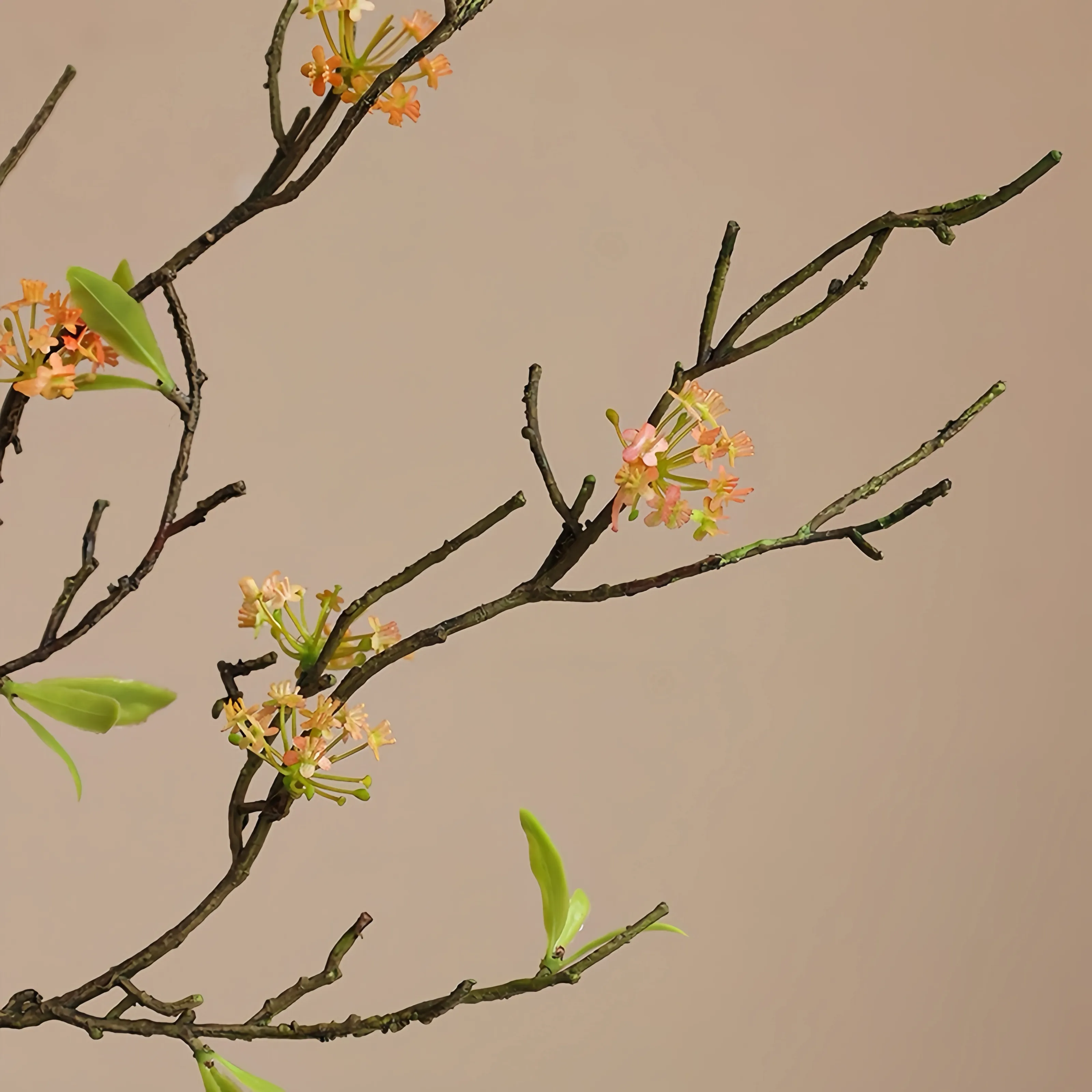 レトロ小麦のストローナシの花の枝