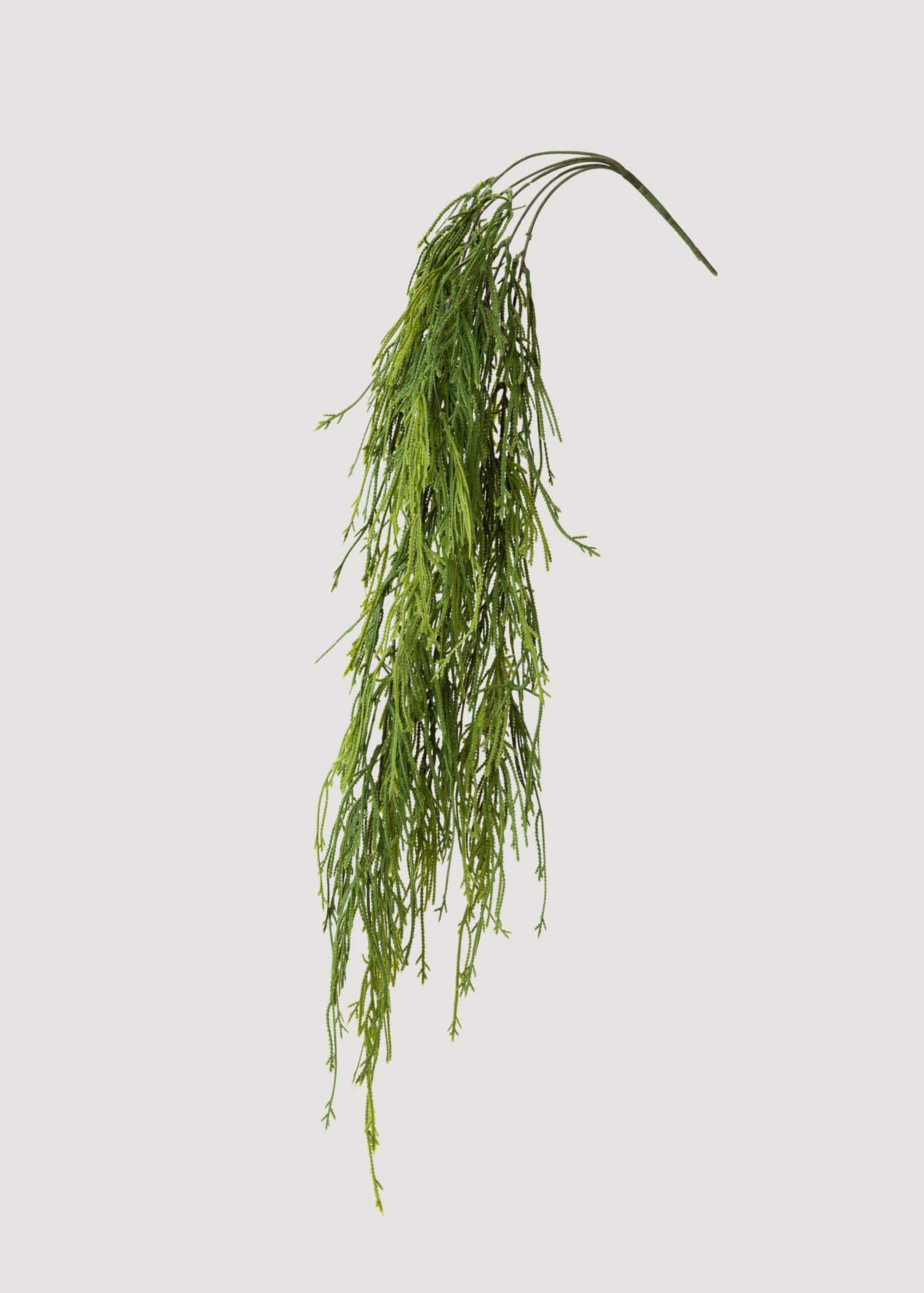 indoor_outdoorフェイクハンギングモスシダ植物は100から始まります