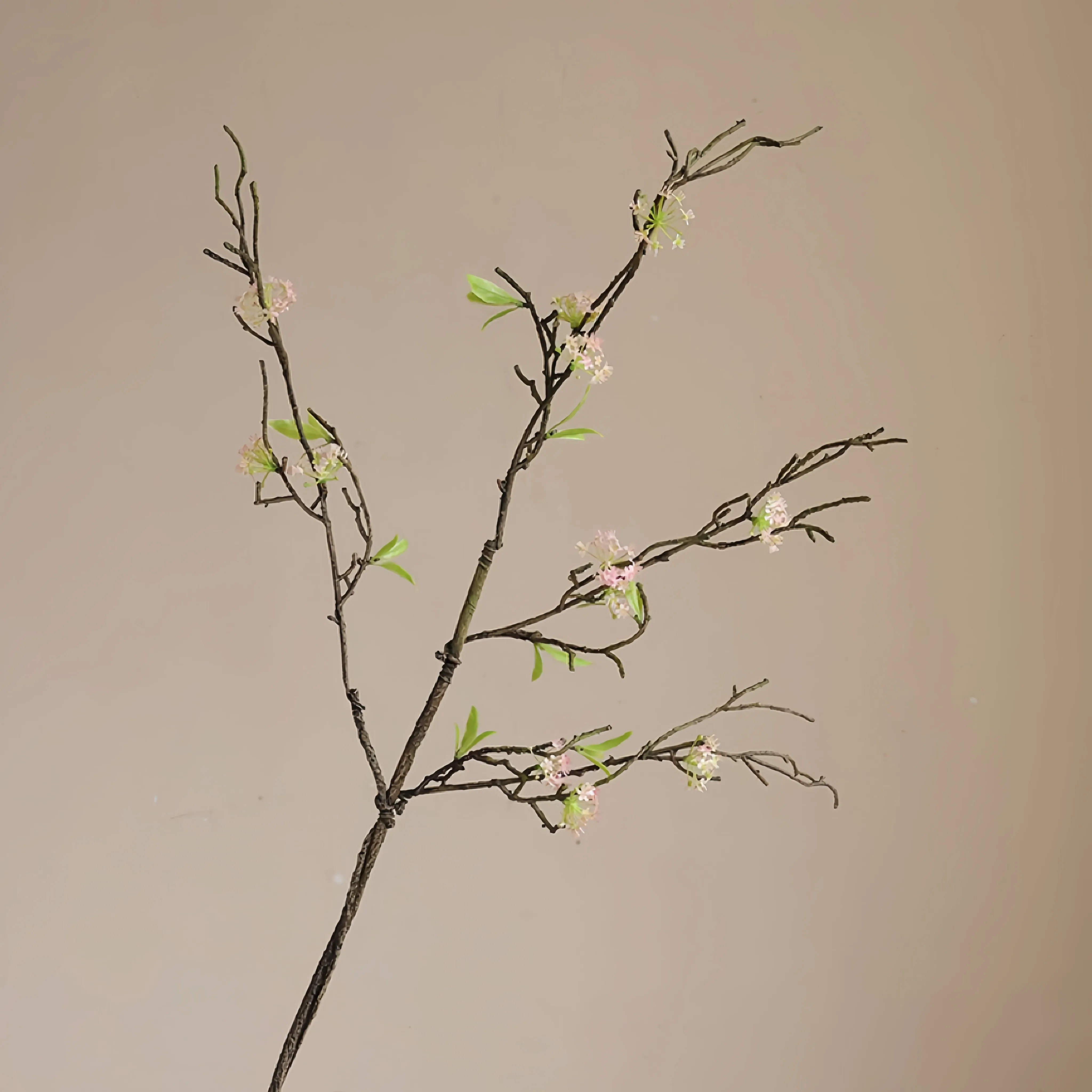 レトロ小麦のストローナシの花の枝