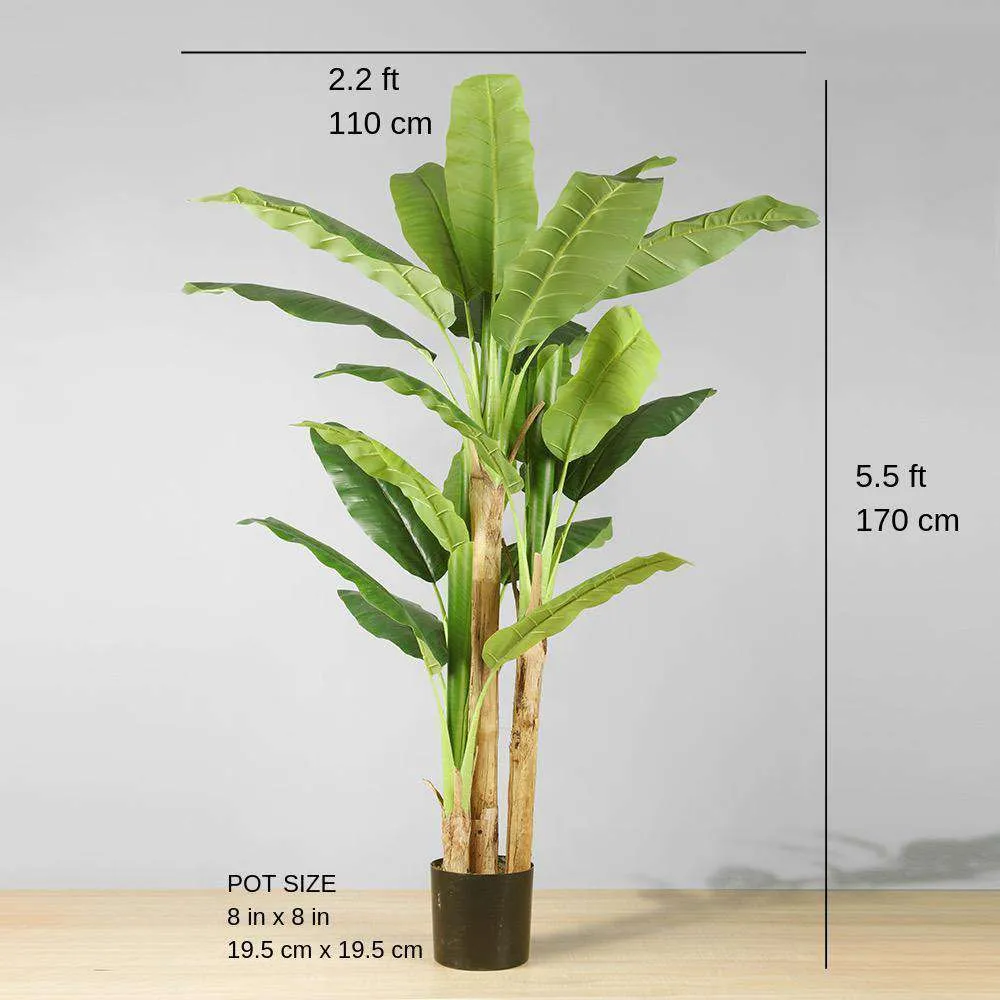 アンナ人工バナナの木の鉢植え植物