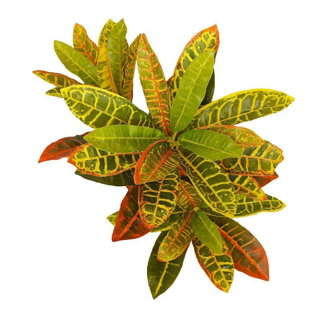 人工股間鉢植え