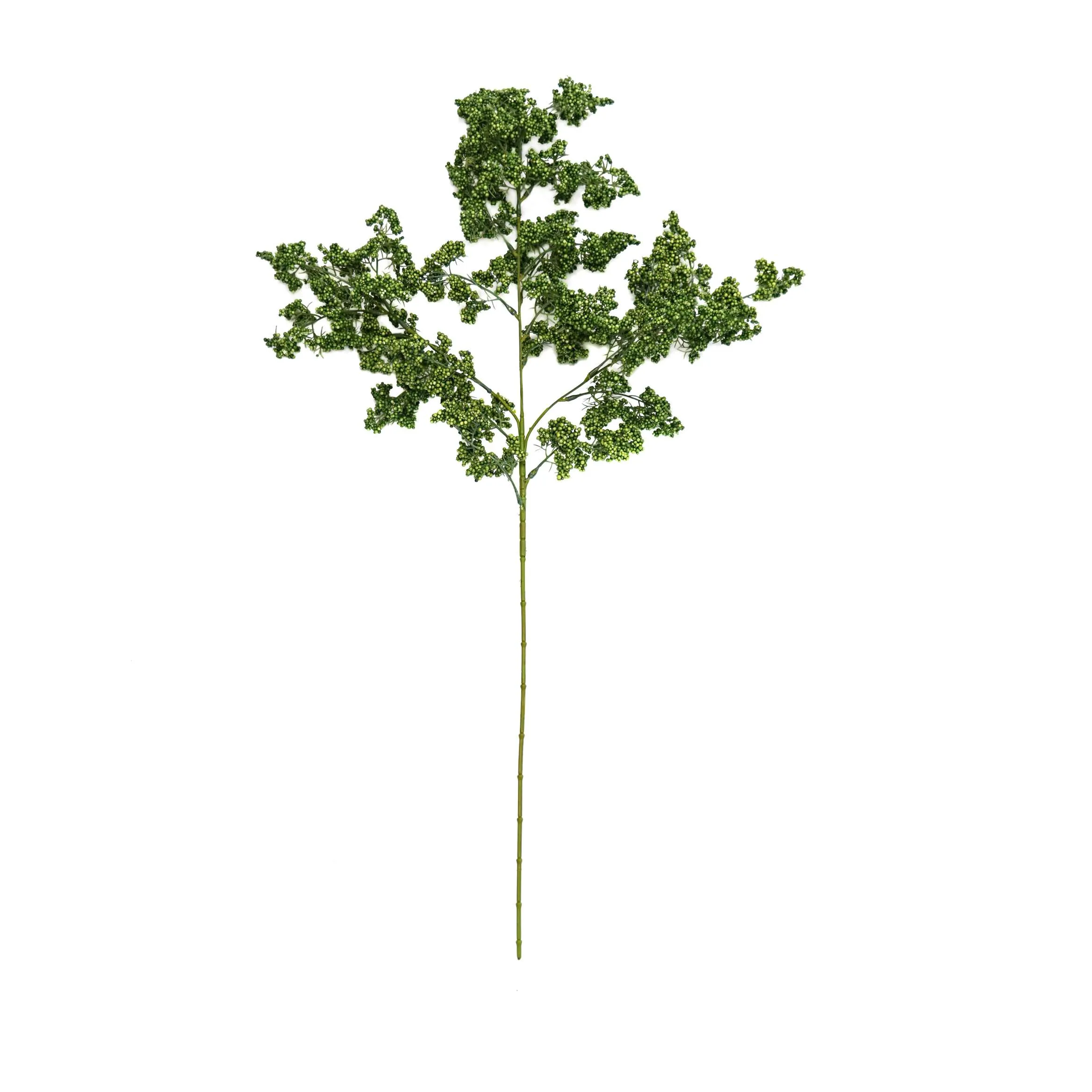 単一の冬の緑の果物