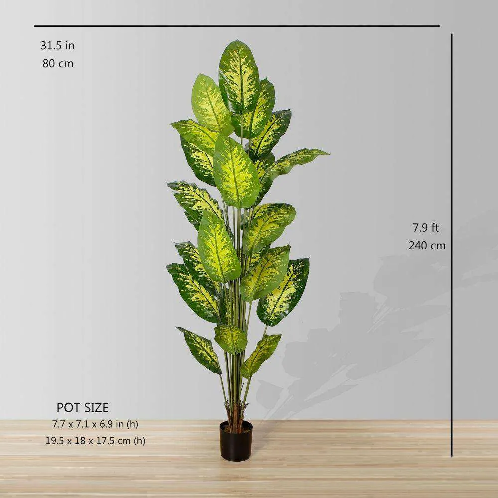 人工常緑の鉢植え植物
