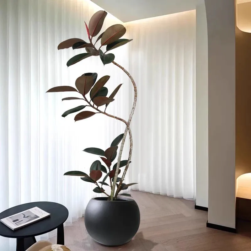 人工ゴムポット植物