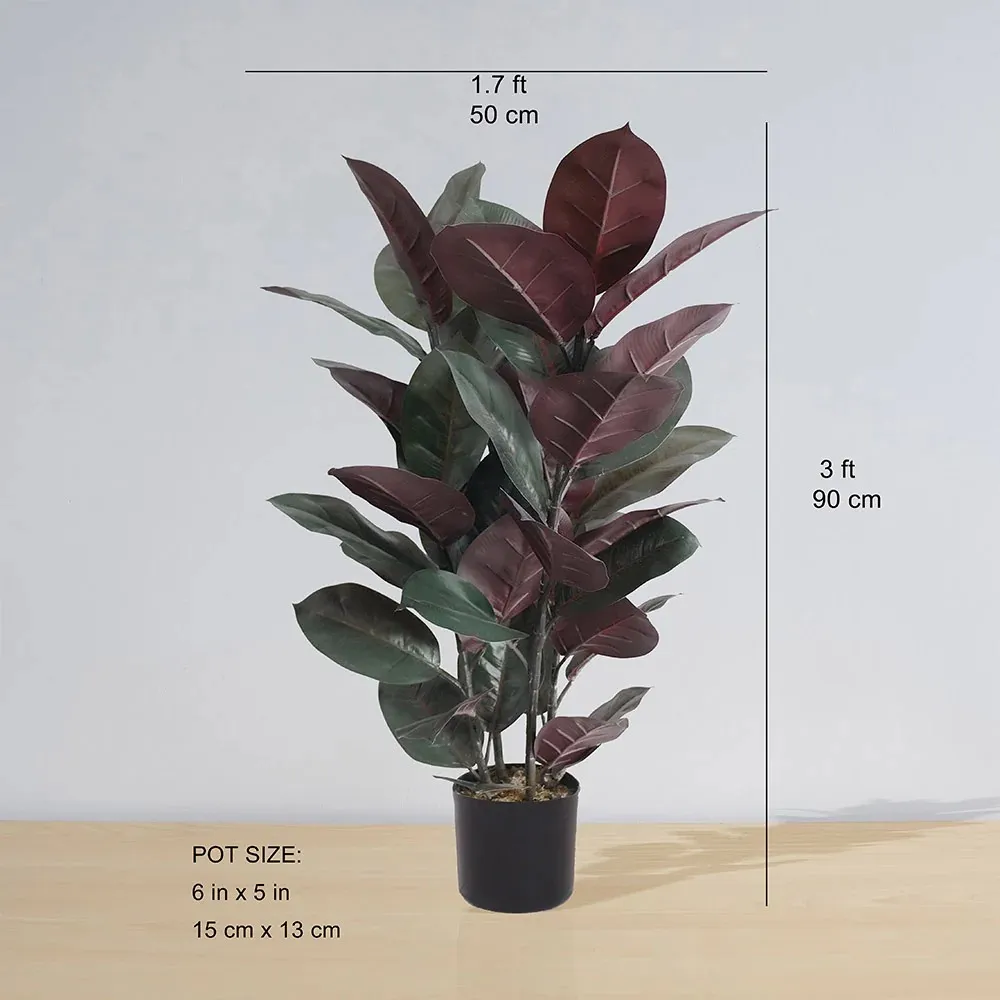人工ゴムポット植物