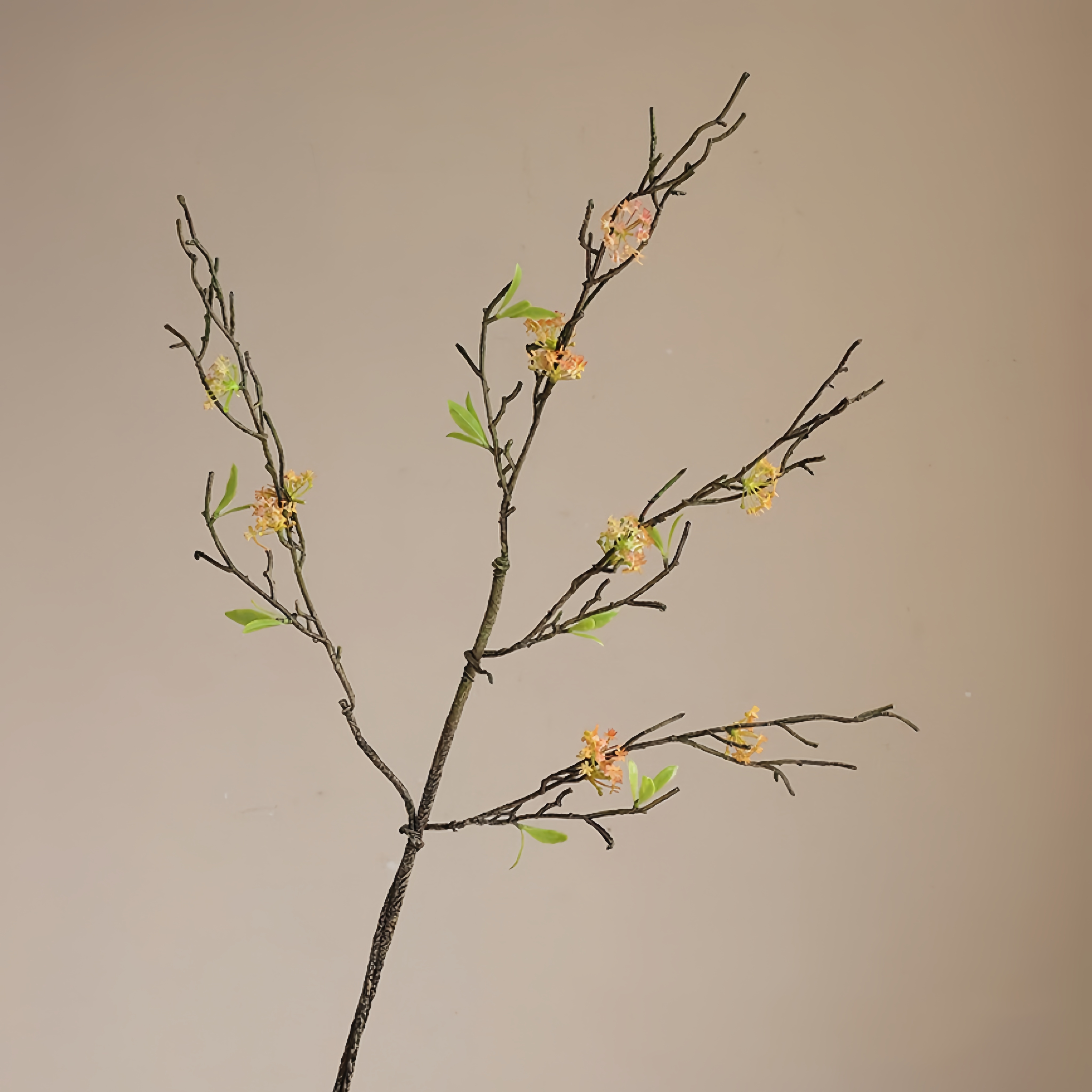 レトロ小麦のストローナシの花の枝