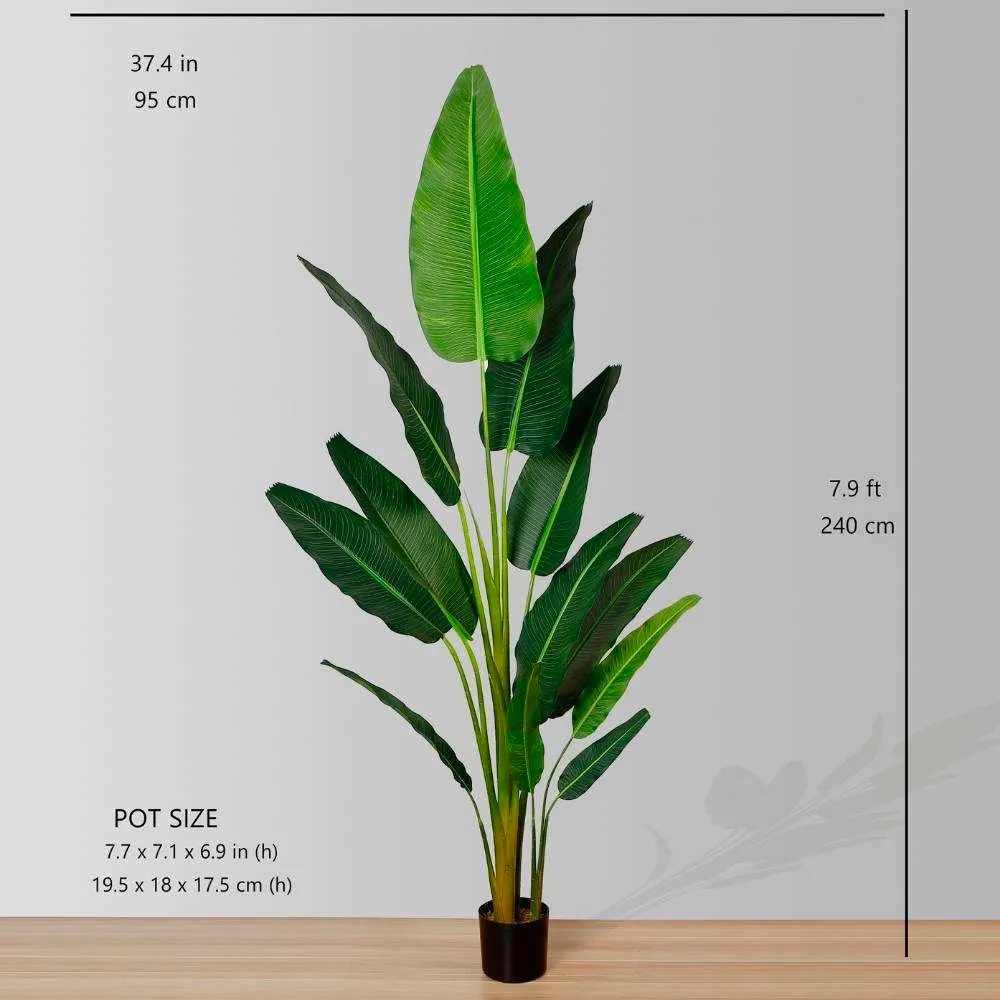 人工旅行者ヤシの木の鉢植え植物