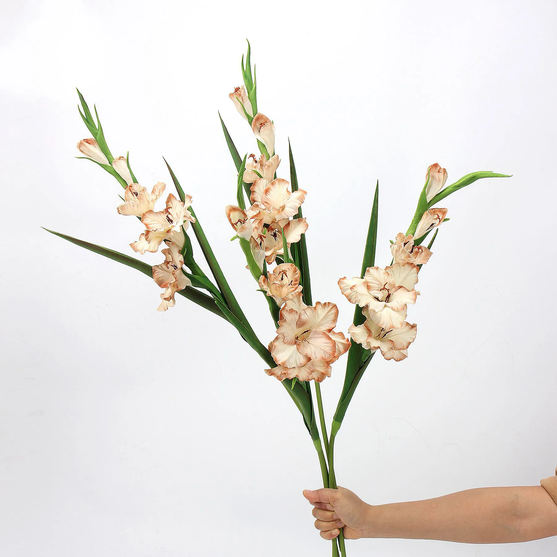 発表 - インターネットの有名人が家で使用しているシミュレーションの花は何ですか？