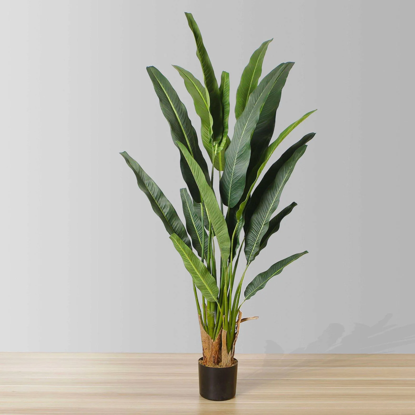シニアの人工旅行者ヤシの木の鉢植え植物