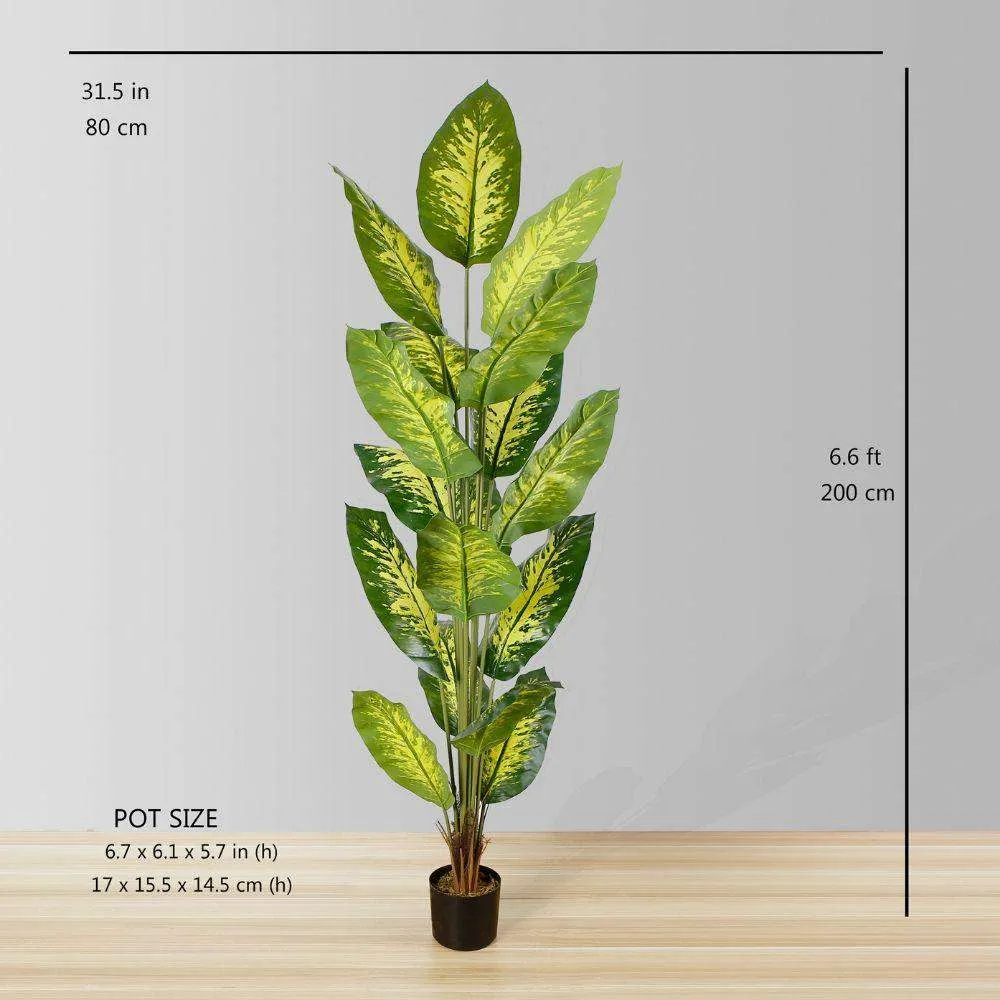 人工常緑の鉢植え植物