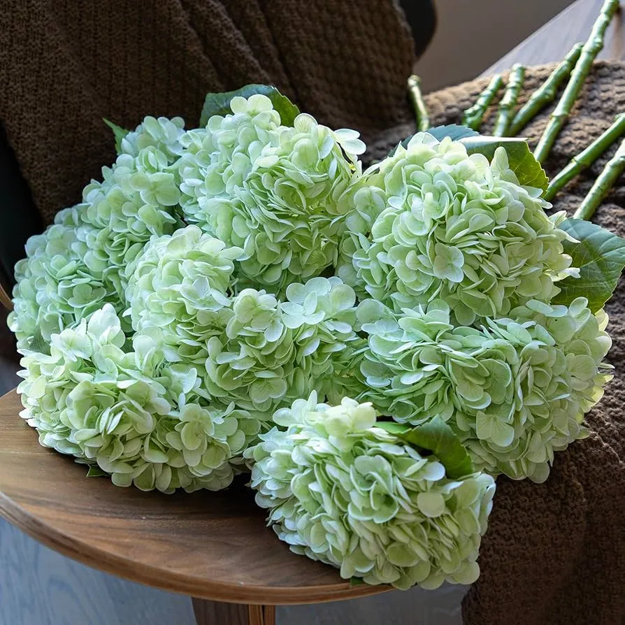偽の花は実際のタッチアジサイです